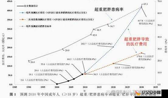 bbbbbxxxxx 肥胖是一种怎样的存在以及其带来的影响和应对策略