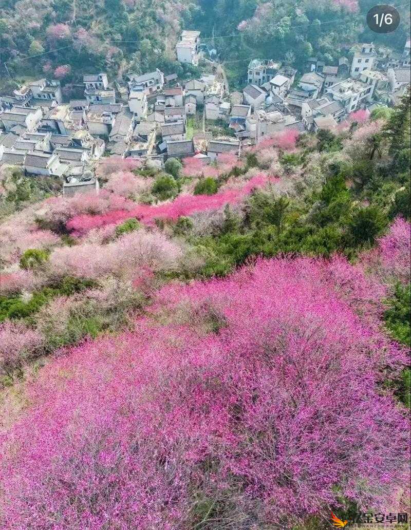 桃源记深度攻略，解锁村民生育秘籍，助你打造人口兴旺的繁荣村落